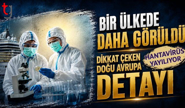 Hantavirüs yayılıyor! İsrail' in Ardından....