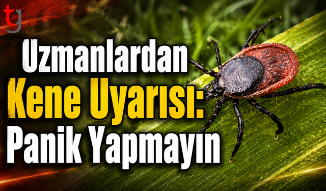 Uzmanlardan Kene Uyarısı: Panik Yapmayın