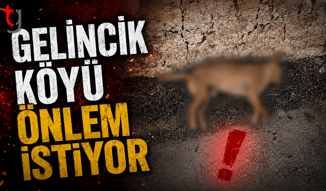 Gelincik Köyü Önlem İstiyor