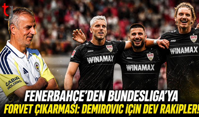FENERBAHÇE’DEN BUNDESLIGA’YA FORVET ÇIKARMASI: DEMIROVIC İÇİN DEV RAKİPLER!