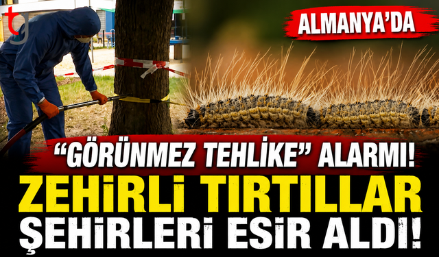 Almanya’da "Görünmez Tehlike" Alarmı: Zehirli Tırtıllar Şehirleri Esir Aldı!