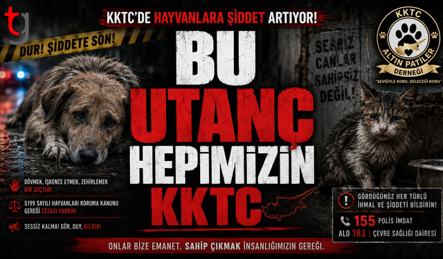 Toplumun Ortak Utancı: Hayvanlara Yönelik Zulüm Sürüyor