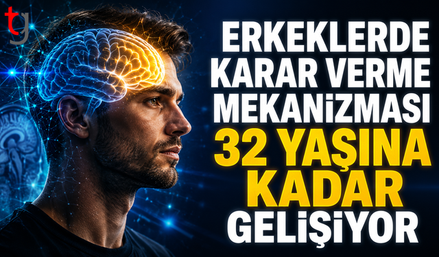 Bilim İnsanları Açıkladı: Erkek Beyni 32 Yaşına Kadar Gelişebiliyor