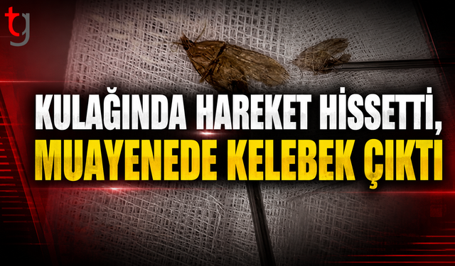 Kulağındaki Hareketten Şüphelendi, Doktor Kelebekle Karşılaştı