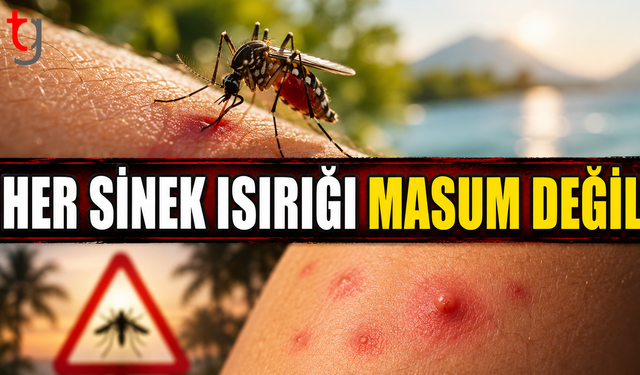 Her Sinek Isırığı Masum Değil