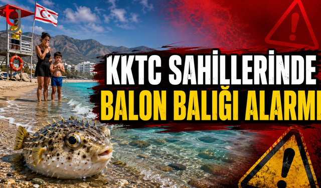 Kuzey Kıbrıs Sahillerinde Balon Balığı Alarmı