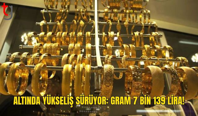 Gram Altın 7 Bin 139, Çeyrek Altın 11 Bin 658 Lira
