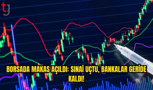 Borsa İstanbul’da Yılın Kazandıranı Sınai Hisseleri Oldu