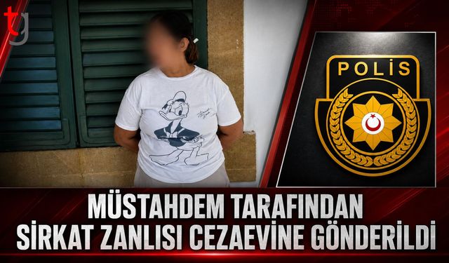 Temizlik İçin Girdiği Evlerden Eşya Aldığı İddia Edildi