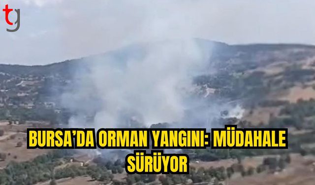 Perçin-Balıoğlu Arasında Orman Yangını