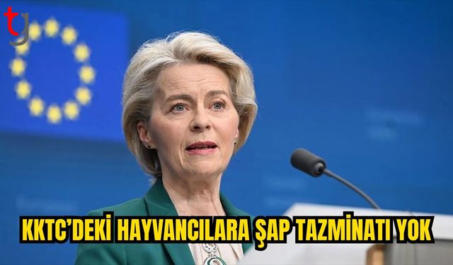 Von der Leyen’den Şap Tazminatı Açıklaması