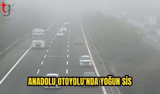 İstanbul-Ankara Yolunda Sis Alarmı