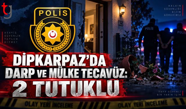 İkamete İzinsiz Girdiler, Darp Ettiler