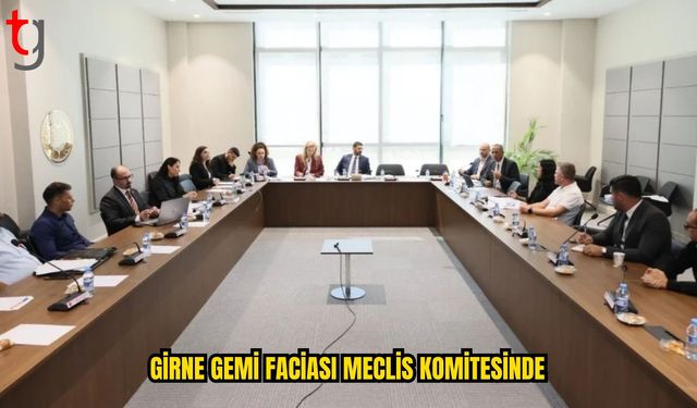 Girne Açıklarındaki Gemi Faciası Meclis Komitesinde Ele Alındı