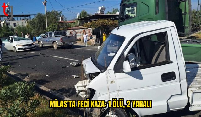 Kamyonet Karşı Şeride Geçti: 1 Kişi Hayatını Kaybetti