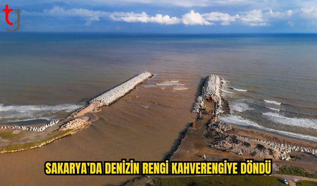 Sağanak Karadeniz Kıyılarını Kahverengiye Boyadı