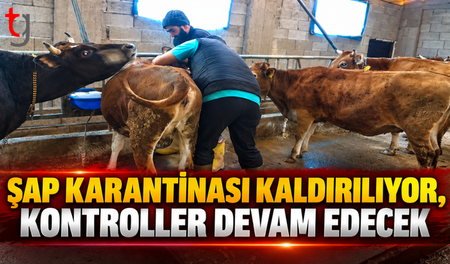 ŞAP KARANTİNASI KALDIRILIYOR, KONTROLLER DEVAM EDECEK