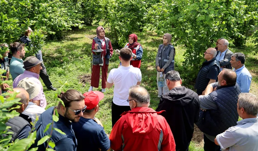 Sakarya'da çiftçilere feromon tuzağı ulaştırıyor