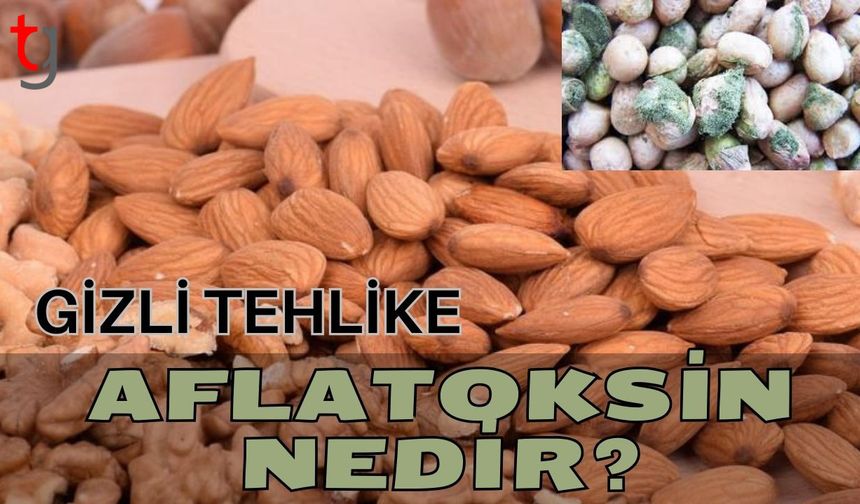 Gizli tehlike aflatoksin nedir?