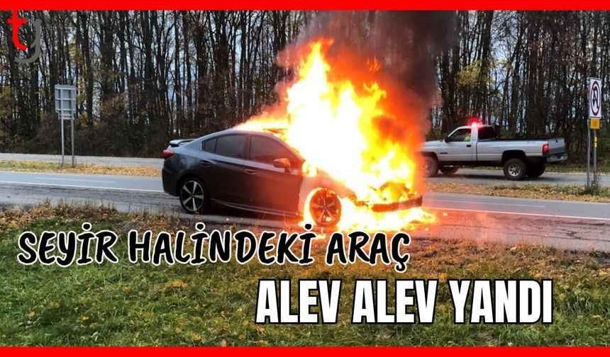 Seyir halindeki araç alev alev yandı