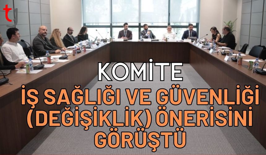 Komite İş Sağlığı ve Güvenliği (Değişiklik) önerisini görüştü