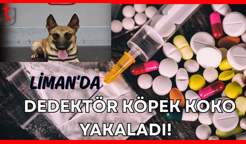 Liman'da dedektör köpek Koko yakaladı!