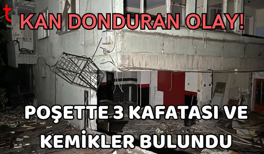 Kan donduran olay! Poşette 3 kafatası ve kemikler bulundu