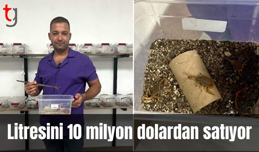 İnternette görerek başladı: Litresini 10 milyon dolardan satıyor