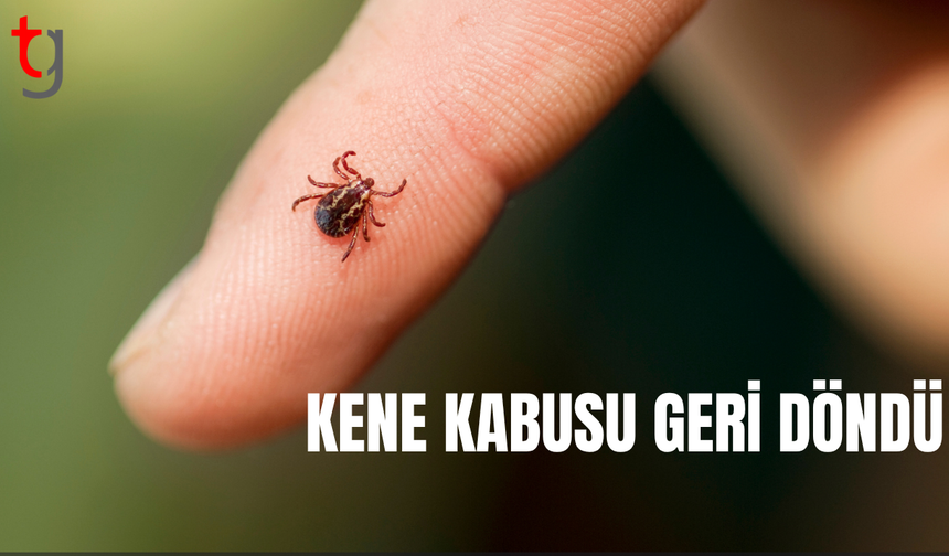 Kene kabusu geri döndü: 5 kişi hayatını kaybetti