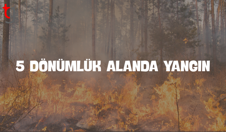TUZLA’DA 5 DÖNÜMLÜK ALANDA YANGIN