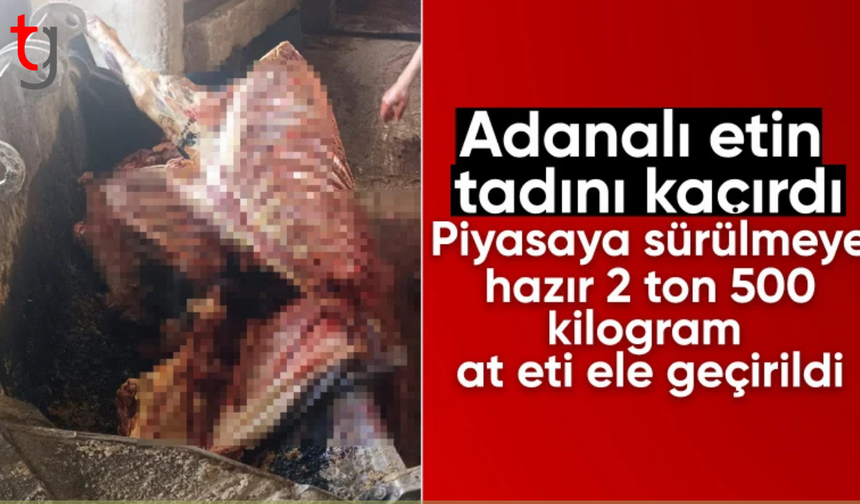 Adana'da 2,5 ton at eti ele geçirild