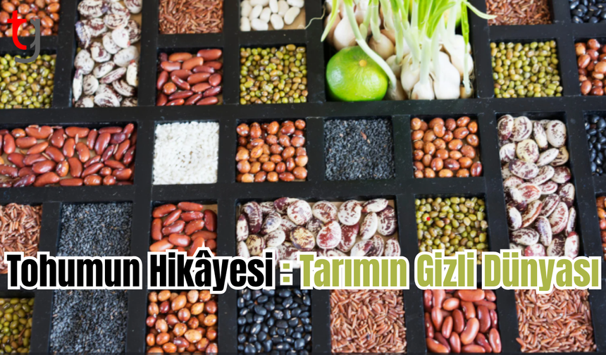 Tohumun Hikâyesi : Tarımın Gizli Dünyası