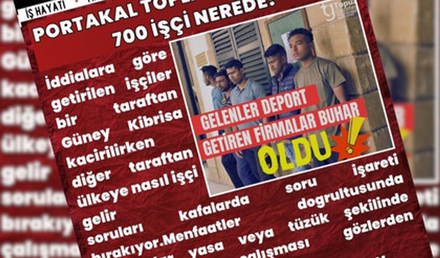 manşet