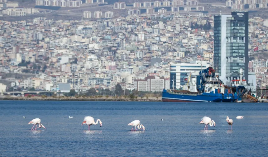 İzmir 'iklim nötr' hedeflerini dünyaya tanıttı