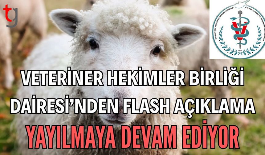 Veteriner Hekimler Birliği'nden flash açıklama: Yayılmaya devam ediyor