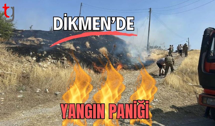 Dikmen'de yangın paniği!
