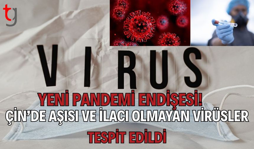 Yeni Pandemi Endişesi! Çin’de Aşısı ve İlacı Olmayan Virüsler Tespit Edİldi