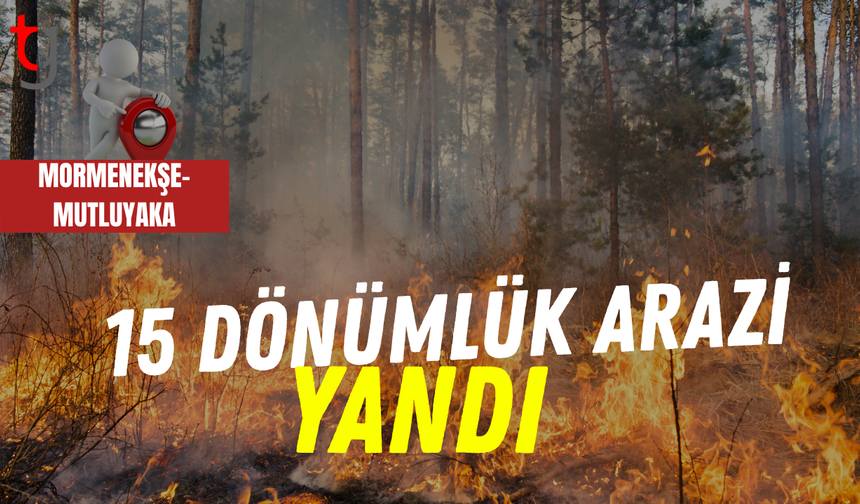 Mormenekşe-Mutluyaka köylerinde yangın