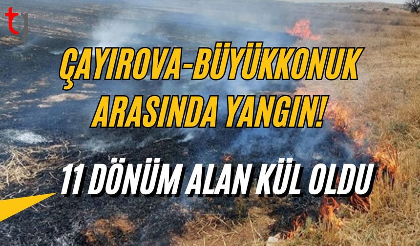 Çayırova-Büyükkonuk Arasında Yangın: 11 Dönüm Alan Kül Oldu