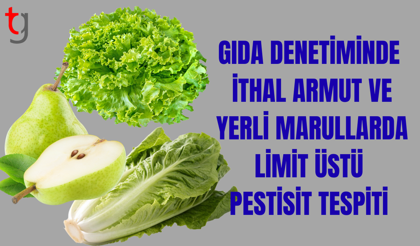 Haftalık Gıda Denetim Sonuçları Açıklandı