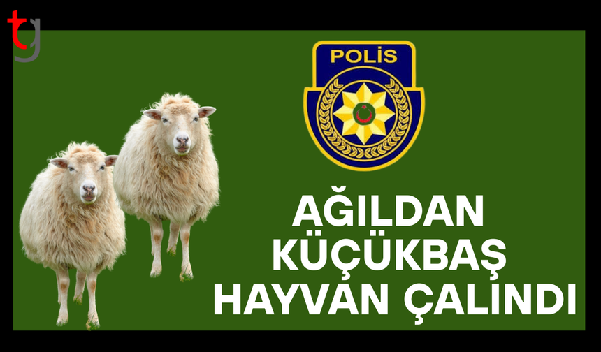 Çayönü’nde ağıldan küçükbaş hayvan hırsızlığı