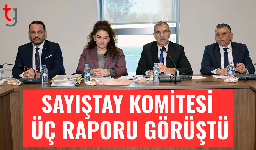 Sayıştay Komitesi üç raporu görüştü