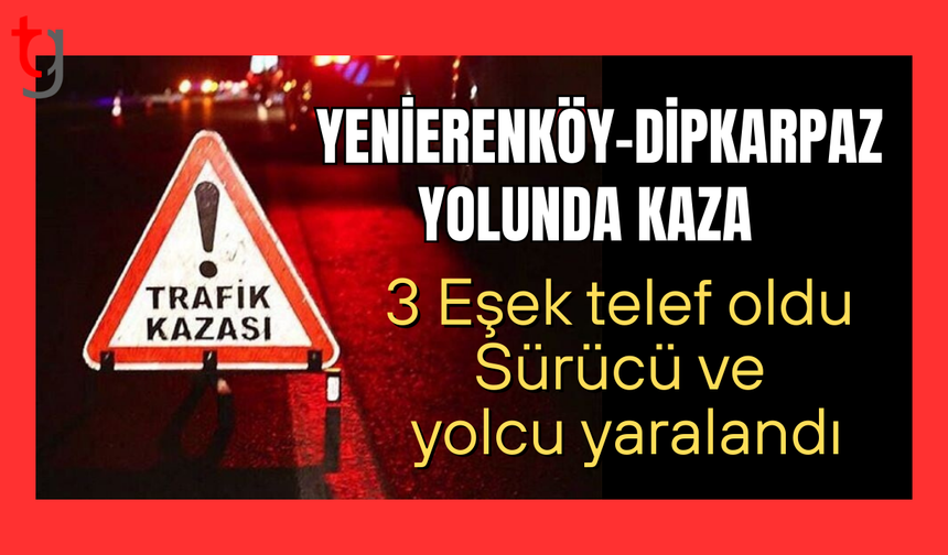 Yenierenköy-Dipkarpaz yolunda hür eşek kazası