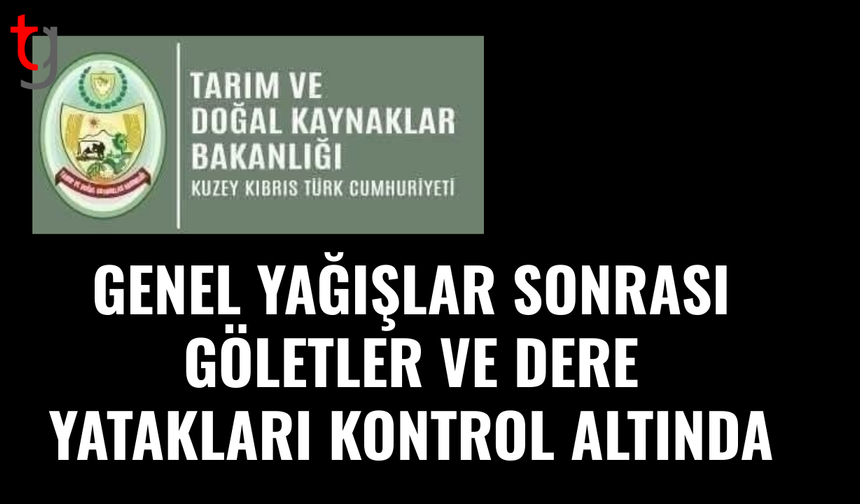 Yağışlar sonrası göletler ve dere yataklarında inceleme yapıldı