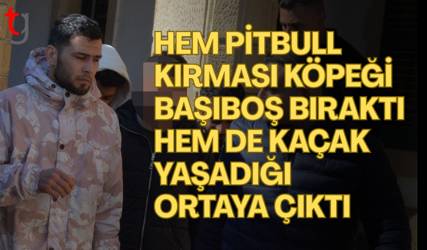 Zanlı iki ayrı suçtan tutuklandı