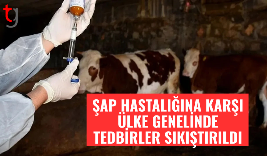 Şap hastalığına karşı karantina ve hayvan hareketi yasağı sürüyor
