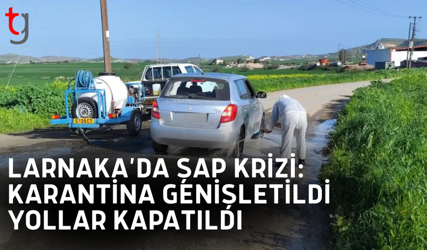 Güneyde şap alarmı: Larnaka karantina altında