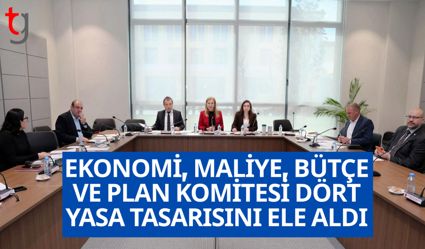 Ekonomi, maliye, bütçe ve plan komitesi yasa tasarılarını görüştü