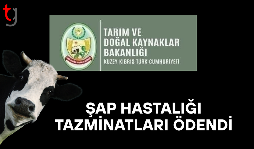 Üreticilere şap tazminat ödemeleri yapıldı