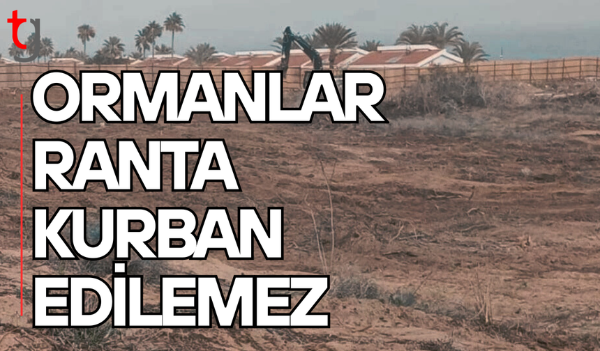 İskele’de orman arazisi tartışması büyüyor